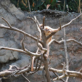 DSC_0105.JPG