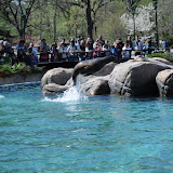 DSC_0352.JPG