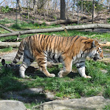 DSC_0386.JPG