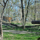 DSC_0390.JPG