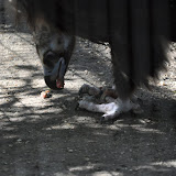 DSC_0398.JPG