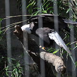 DSC_0416.JPG