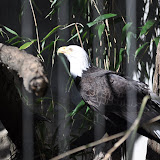 DSC_0414.JPG