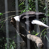 DSC_0417.JPG
