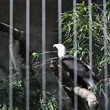 DSC_0418.JPG