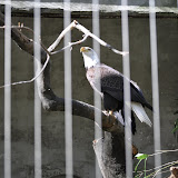 DSC_0421.JPG