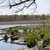 DSC_0435.JPG