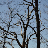 DSC_0457.JPG