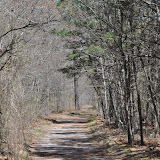 DSC_0461.JPG