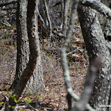 DSC_0469.JPG