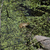 DSC_0494.JPG