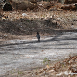 DSC_0502.JPG