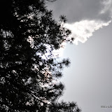 DSC_0511.JPG