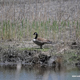 DSC_0536.JPG