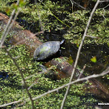 DSC_0547.JPG