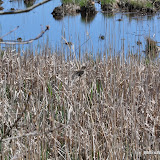 DSC_0577.JPG