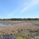 DSC_0589.JPG