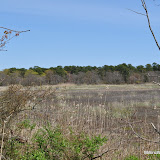 DSC_0591.JPG