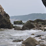 DSC_0703.JPG