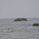 DSC_0554.JPG