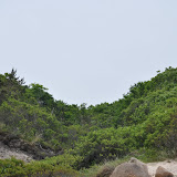 DSC_0558.JPG