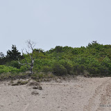 DSC_0557.JPG