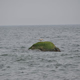 DSC_0560.JPG