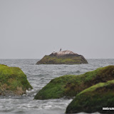DSC_0573.JPG