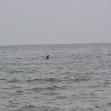 DSC_0582.JPG