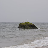 DSC_0623.JPG
