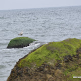 DSC_0711.JPG