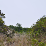 DSC_0639.JPG