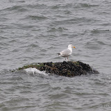 DSC_0670.JPG