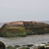DSC_0717.JPG