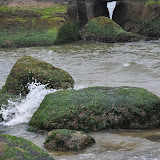 DSC_0722.JPG