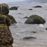 DSC_0723.JPG