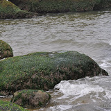 DSC_0726.JPG