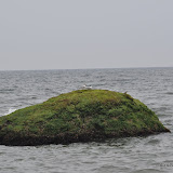 DSC_0728.JPG