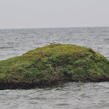 DSC_0727.JPG