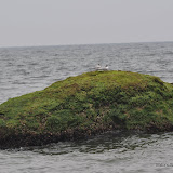 DSC_0731.JPG