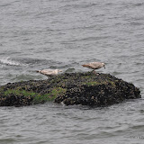 DSC_0744.JPG