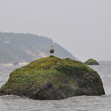DSC_0746.JPG