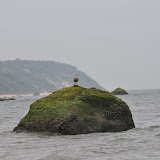 DSC_0749.JPG