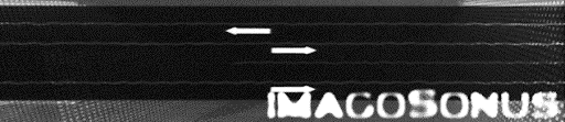 ·ImagoSonus