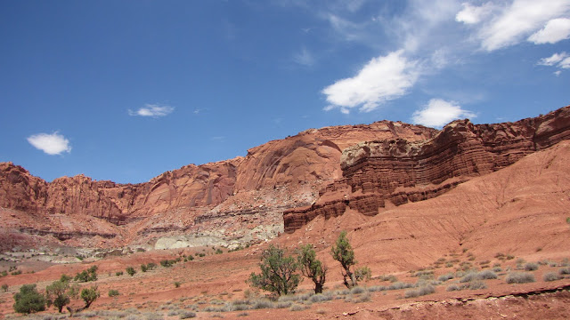 IMG_3677.JPG