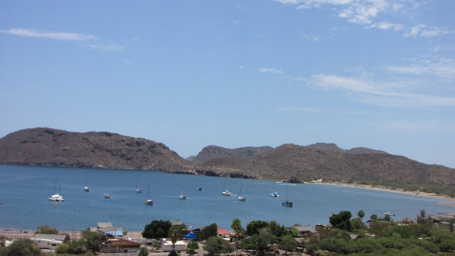 IMG_4360.JPG
