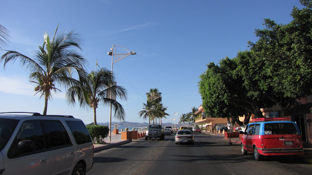 IMG_4381.JPG