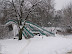 P1140210.JPG