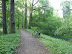 P5205243.JPG