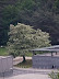 P6016066.JPG